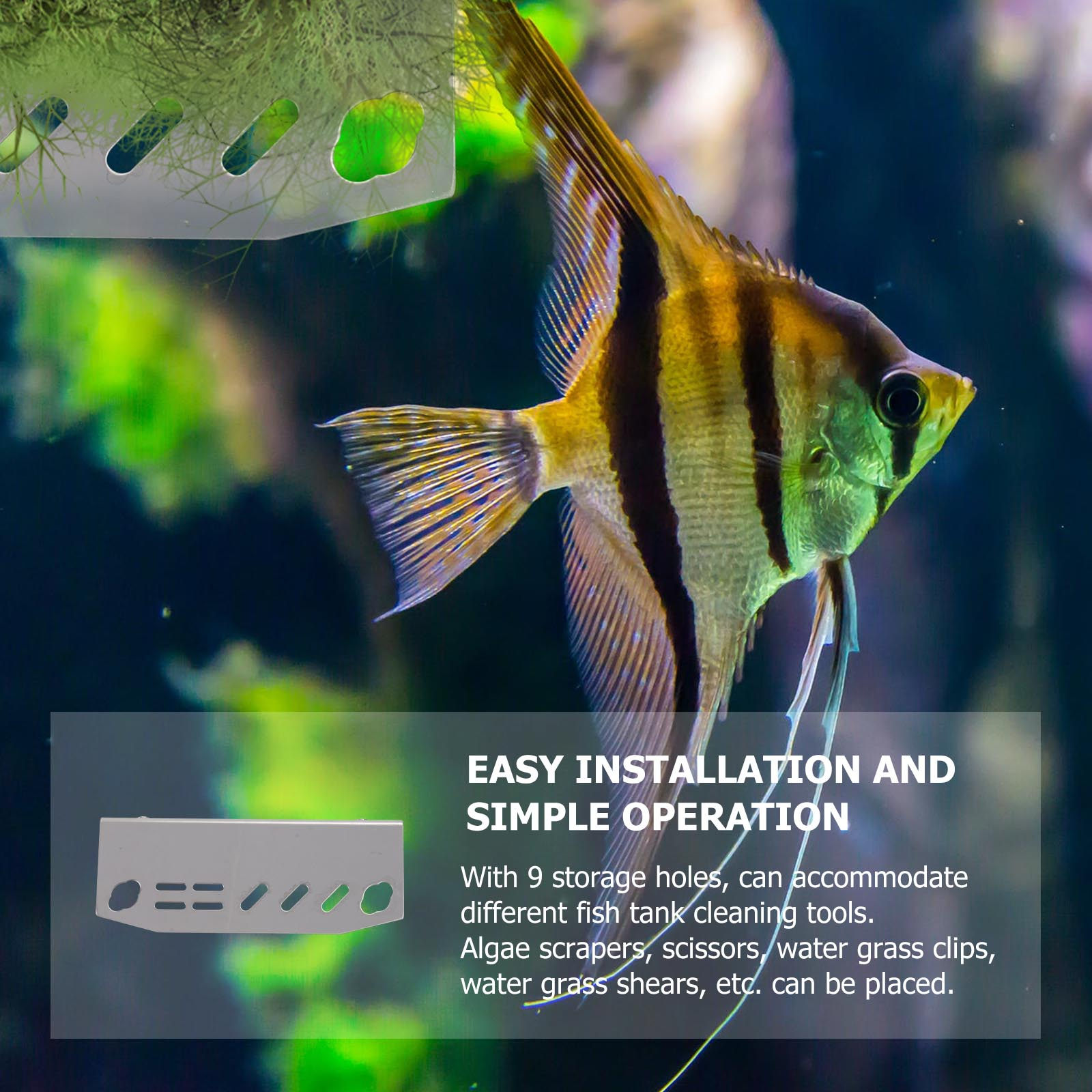 1 Stück Aquarium-Werkzeughalte – Aquarium Plant Holder Bewertung und Preis