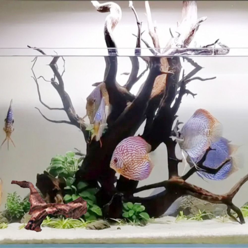 Kreative Unregelmäßige Form Ko – Aquarium Plant Root Tabs Bewertung und Preis