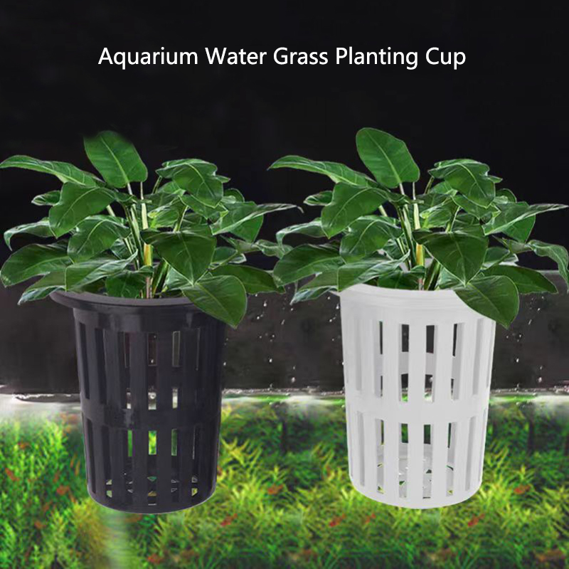 1/3Pcs Aquarium Pflanzen Korb  – Aquarium Plant Holder Bewertung und Preis