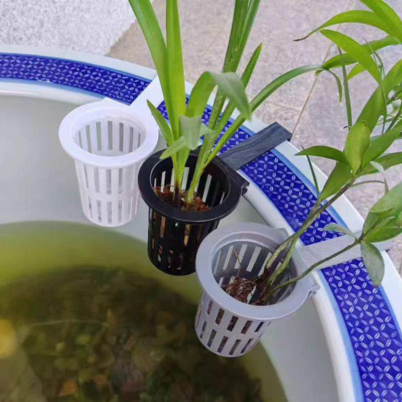 1/3Pcs Aquarium Pflanzen Korb  – Aquarium Plant Holder Bewertung und Preis