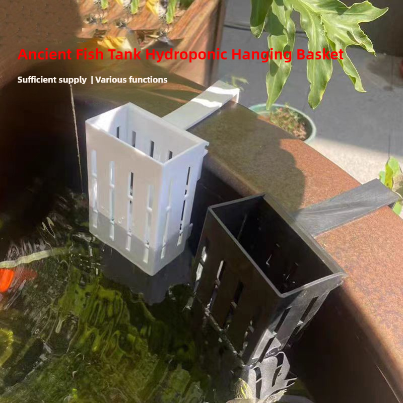 1/3Pcs Aquarium Pflanzen Korb  – Aquarium Plant Holder Bewertung und Preis