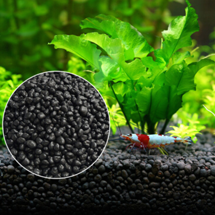 Aquarium Pflanzen Samen Boden  – Aquarium Plant Diseases Bewertung und Preis
