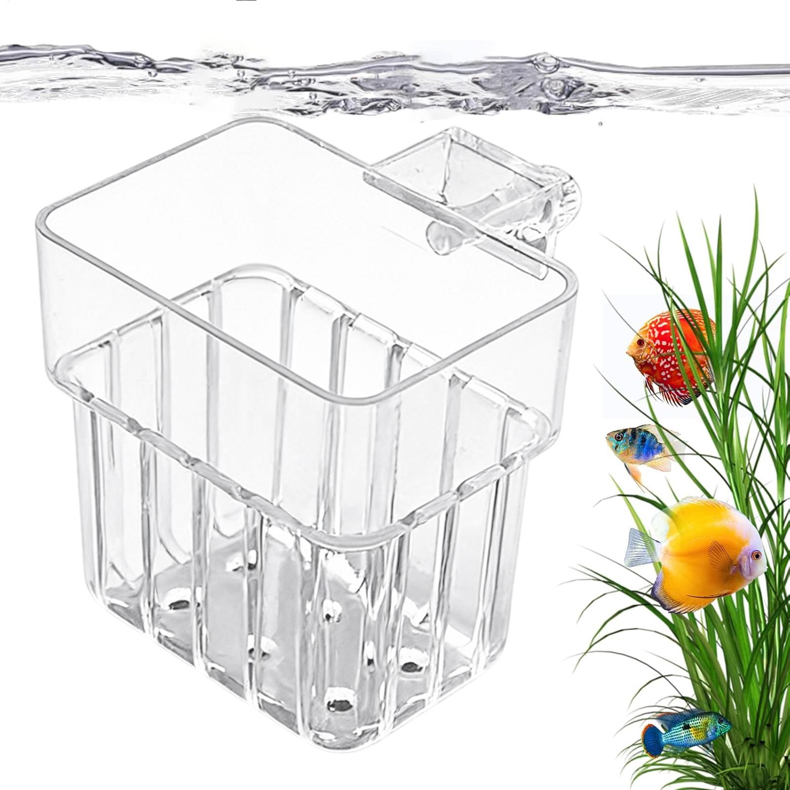 Transparenter Aquarium-Hängeto – Aquarium Plant Holder Bewertung und Preis
