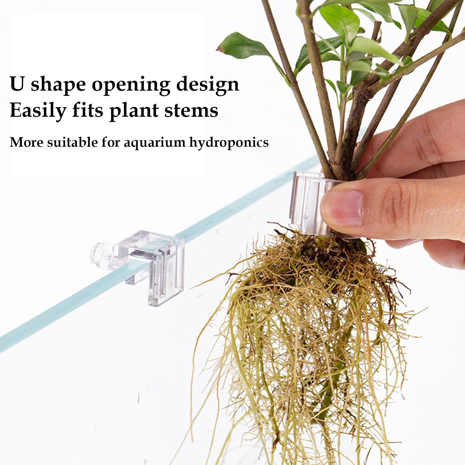 Aquarium-Pflanzenhalter, 6 Stü – Aquarium Plant Diseases Bewertung und Preis