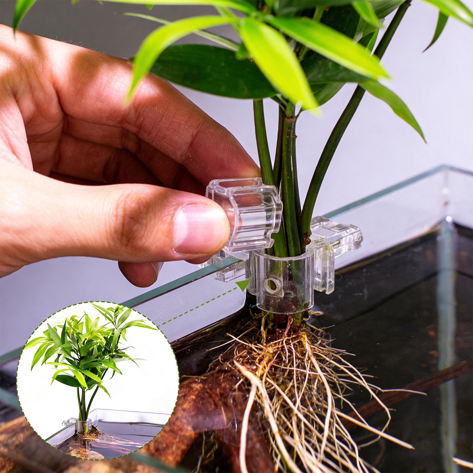 Aquarium-Pflanzenhalter, 6 Stü – Aquarium Plant Diseases Bewertung und Preis