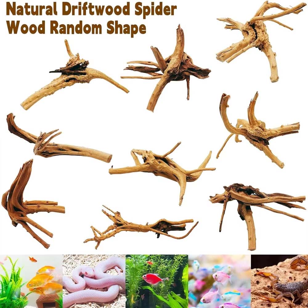 1 Stück Treibholz für Aquarien – Aquarium Plant Root Tabs Bewertung und Preis