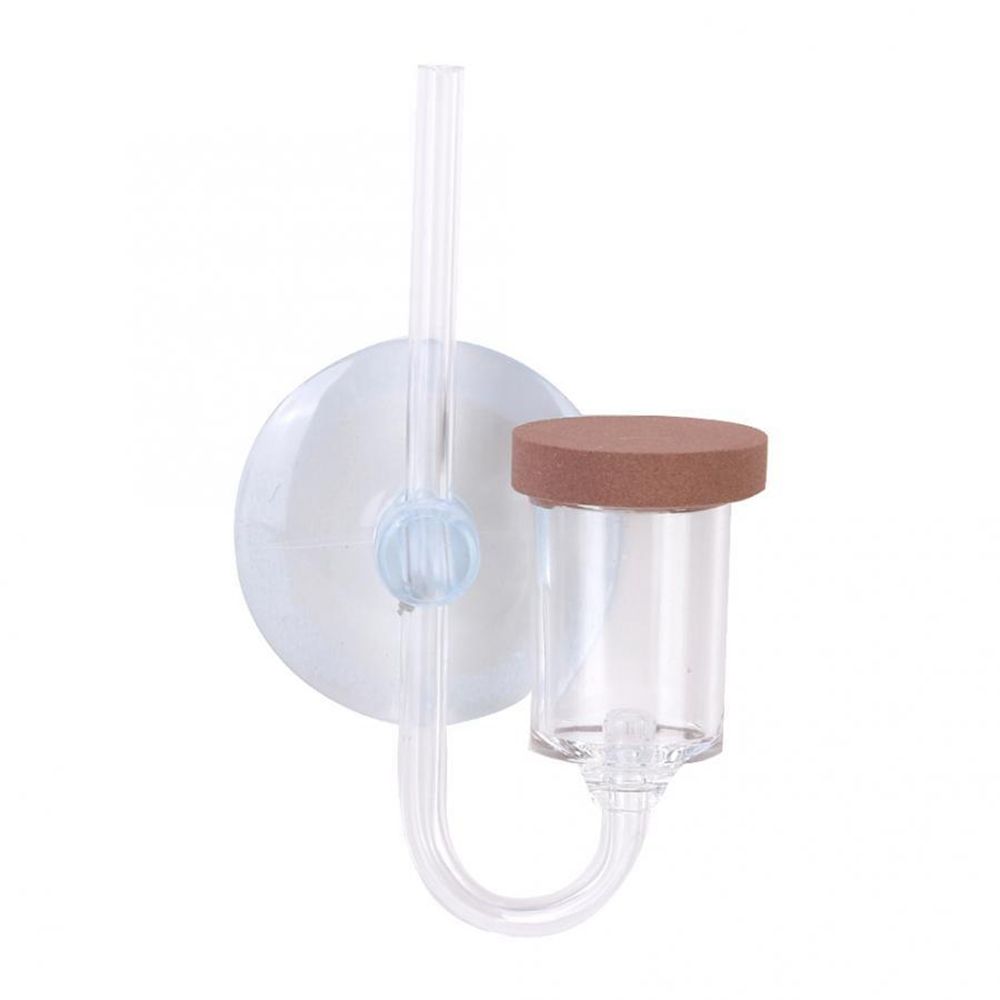 Acryl Mini Aquarium Live Pflan – Aquarium Plant Growing Bewertung und Preis