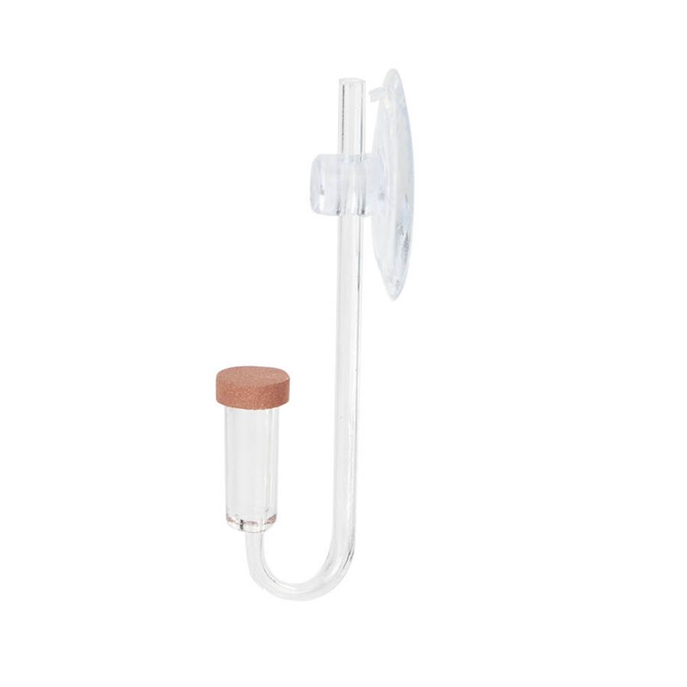 Acryl Mini Aquarium Live Pflan – Aquarium Plant Growing Bewertung und Preis