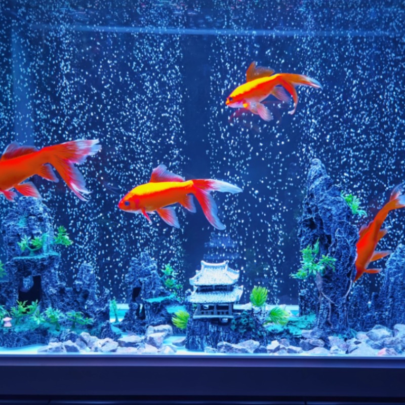 Aquarium-Deko-Steinset: Künstl – Aquarium Plant Root Tabs Bewertung und Preis