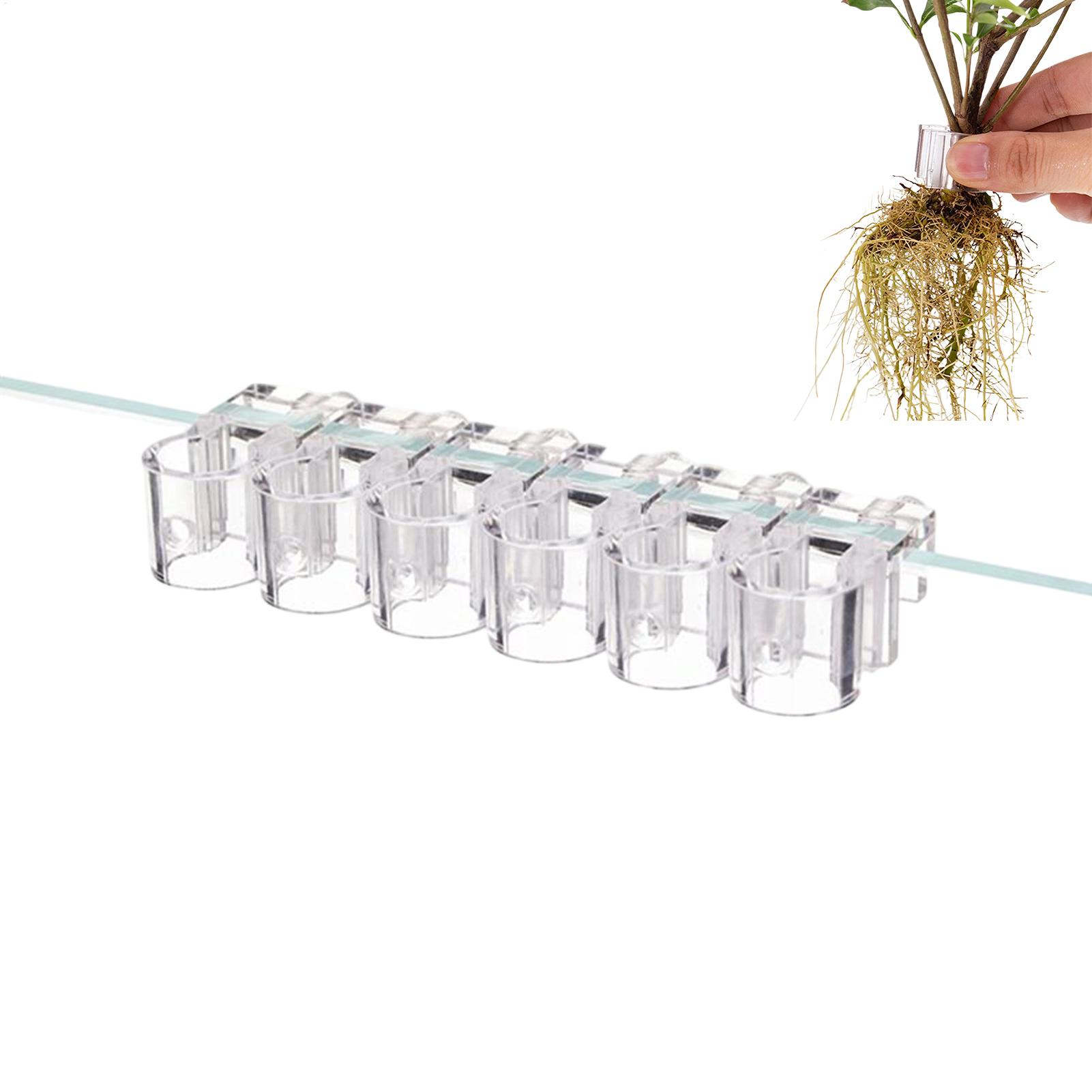 Pflanzenhalter für Aquarien, 6 – Aquarium Plant Diseases Bewertung und Preis