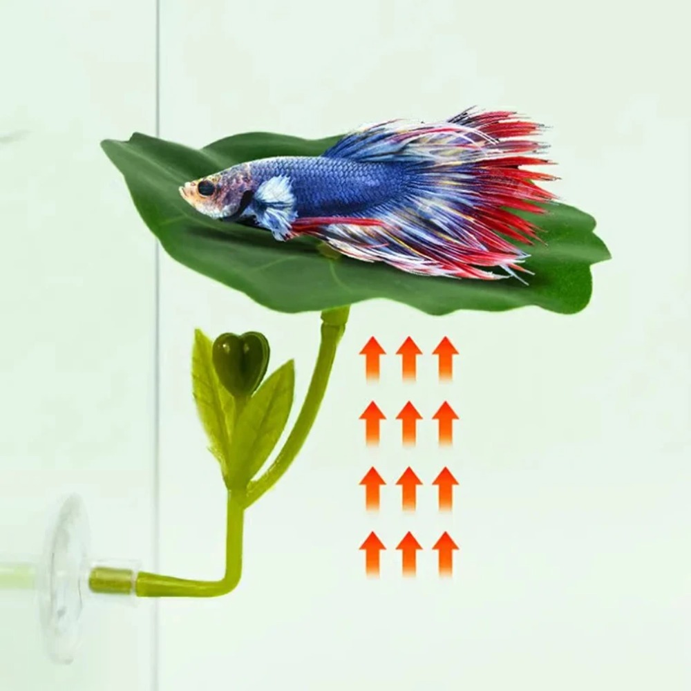 1 Stück Grüne Blatt-Betta-Fisc – Planted Aquarium For Betta Bewertung und Preis