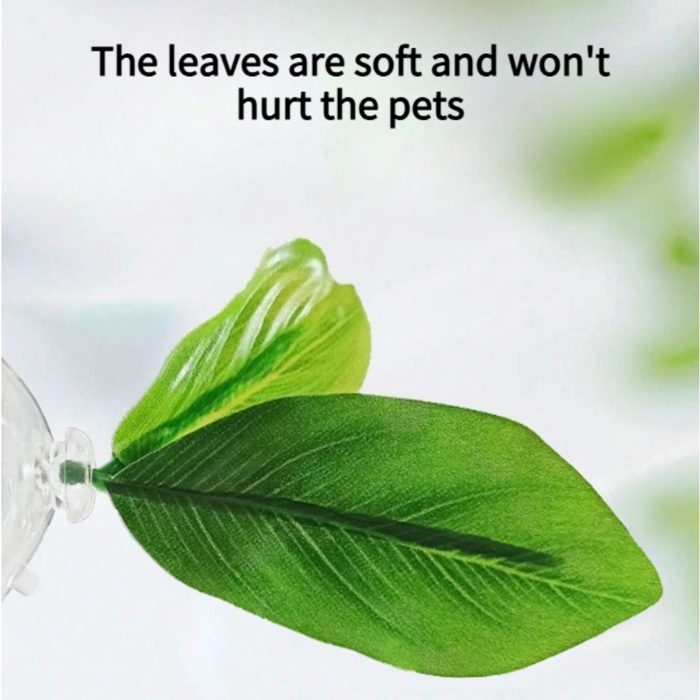 1 Stück Grüne Blatt-Betta-Fisc – Planted Aquarium For Betta Bewertung und Preis