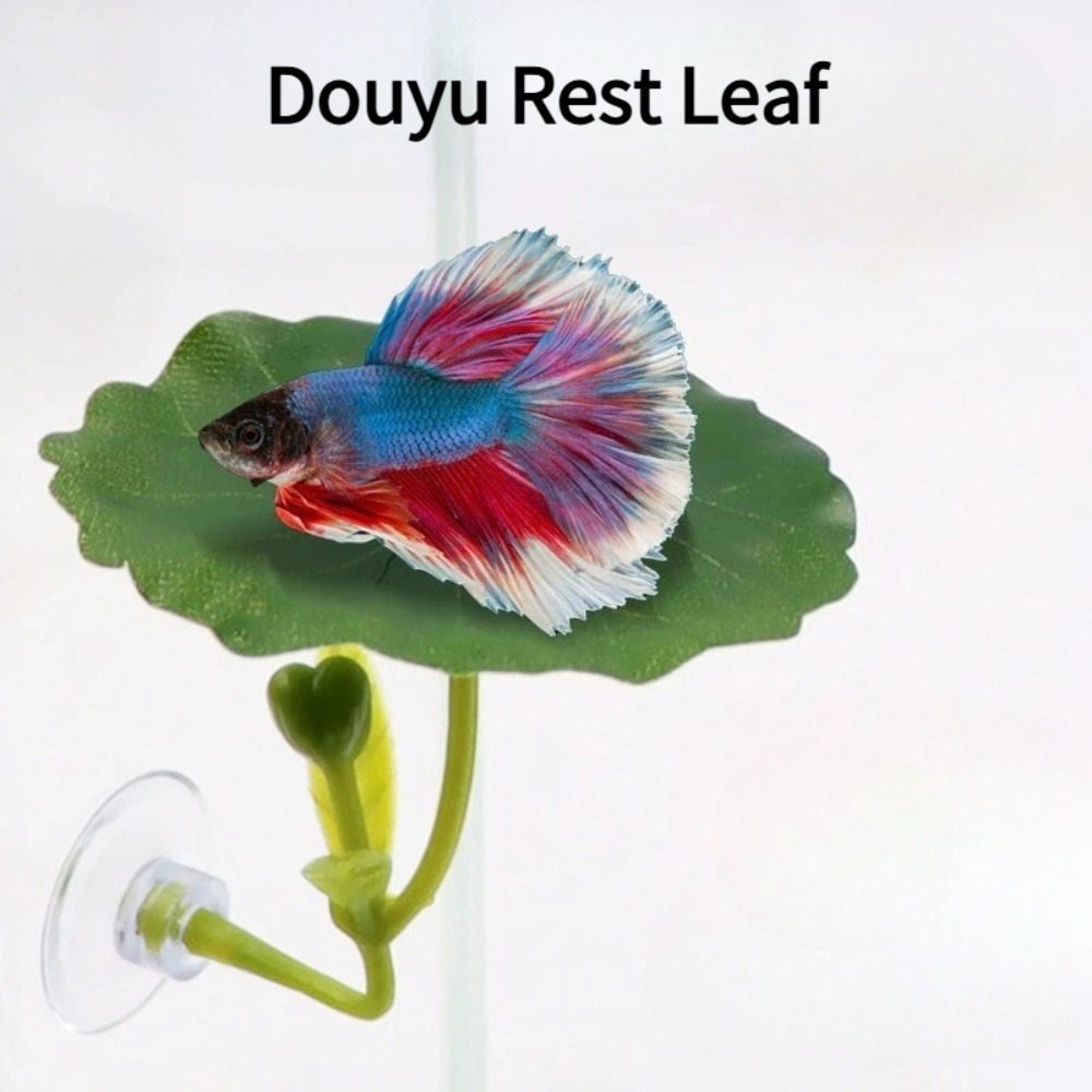 1 Stück Grüne Blatt-Betta-Fisc – Planted Aquarium For Betta Bewertung und Preis