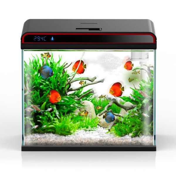 Sunsun 4-in-1-Aquarium-Wassers – Planted Aquarium Algae Remover Bewertung und Preis